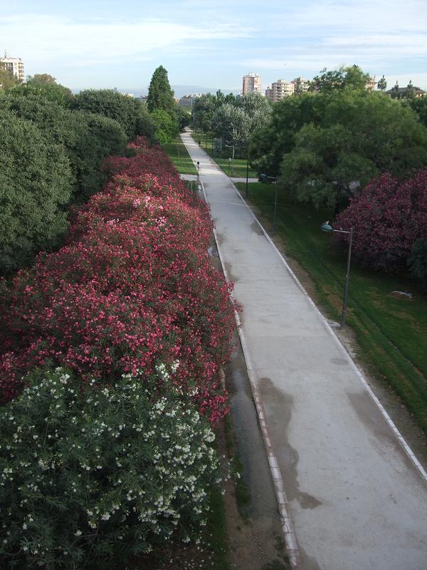 Jardines del Turia  im alten Flussbett des Turia befindet
