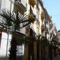Valencia La Seu