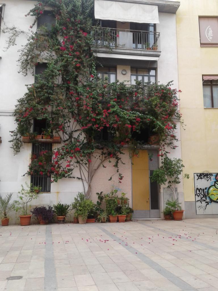 Valencia El Carmen