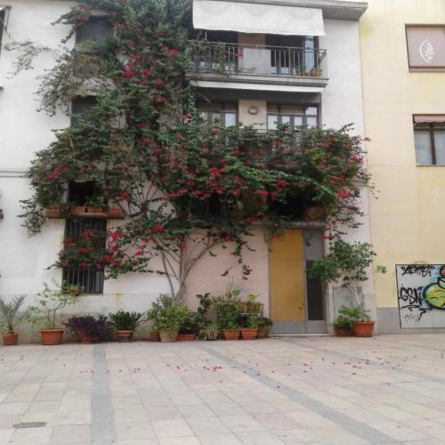 Valencia Barrio del Carmen