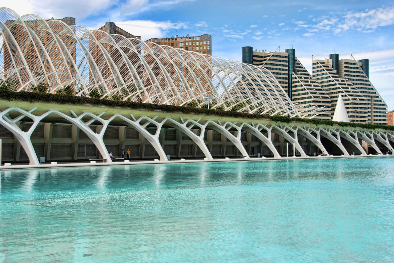 Ciudad de las Artes y las Ciencas Brug ontworpen door Calatrava